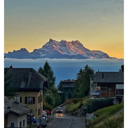 Chalet 4 Personnes Avec Sauna Leysin Exteriér fotografie
