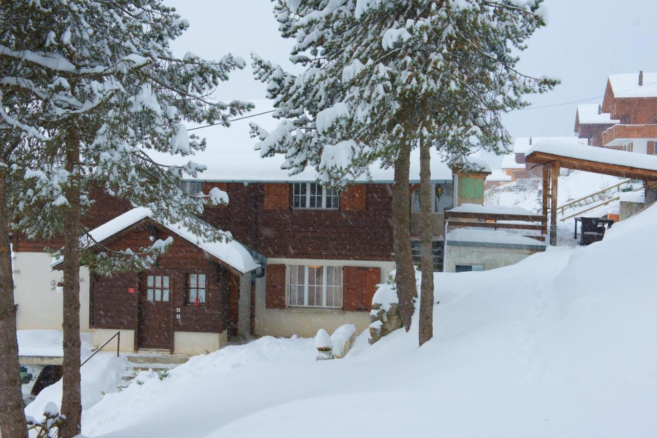 Chalet 4 Personnes Avec Sauna Leysin Exteriér fotografie